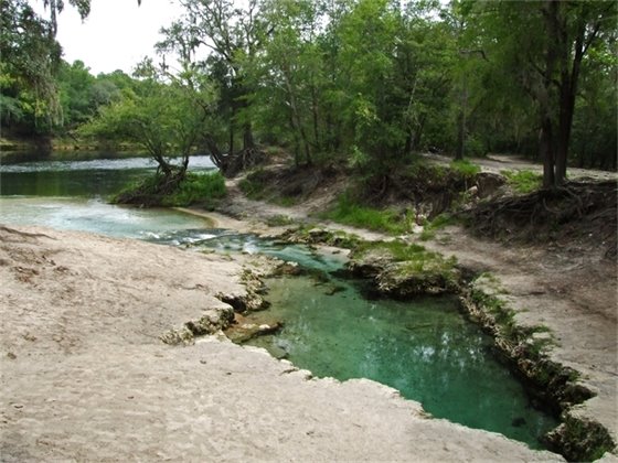 Photo of Telford Spring