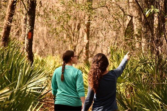 Two people walking through a wooded area and one person pointing. 